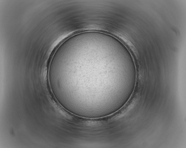 X0000115060933200911091443