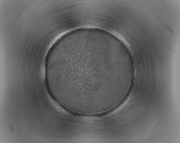 X0000115060934200911091443