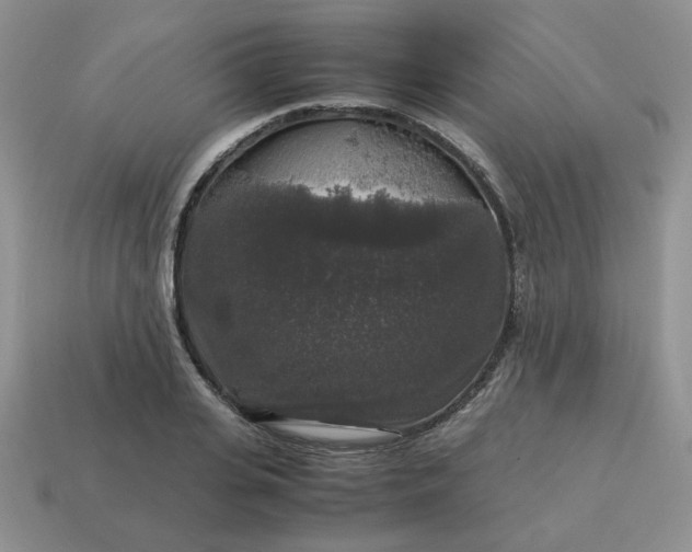 X0000115060935200911091443