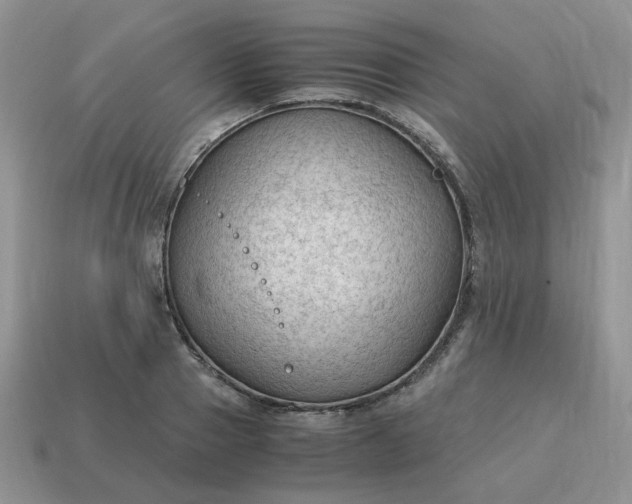 X0000115060937200911091443