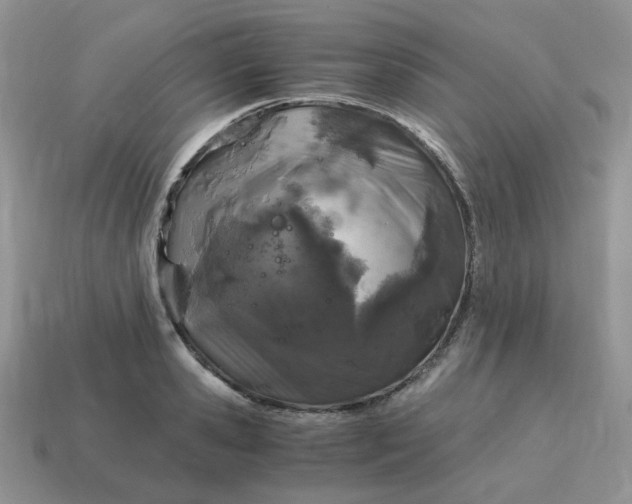 X0000115060941200911091443