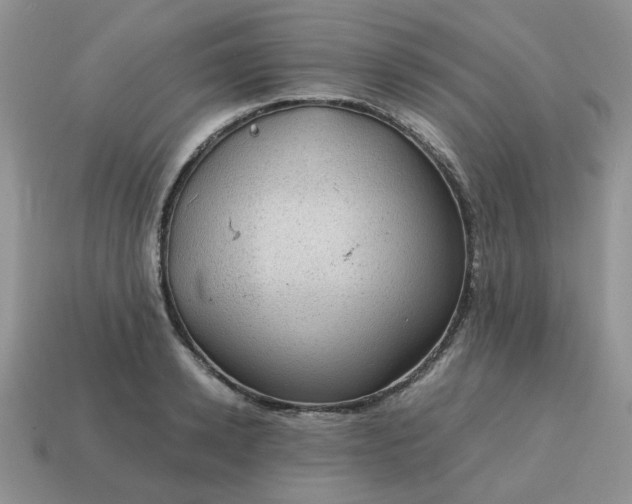 X0000115060942200911091443