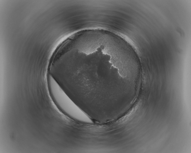 X0000115060943200911091443