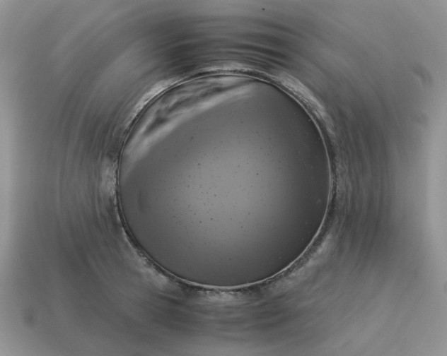 X0000115060945200911091443