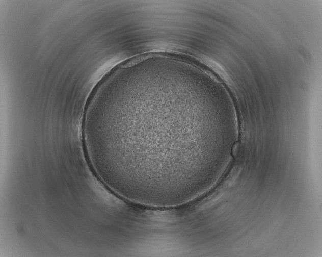 X0000115060946200911091444