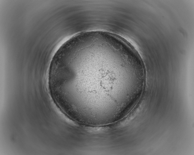 X0000115060949200911091444