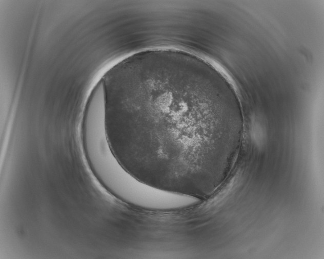 X0000115060951200911091444