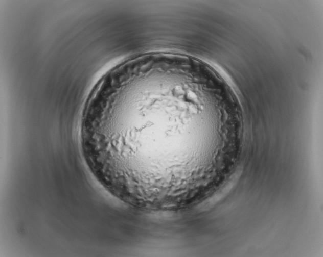 X0000115060957200911091444