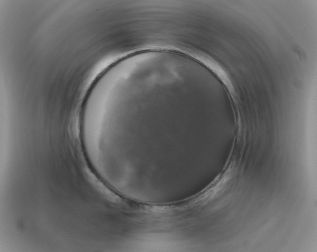 X0000115060958200911091444
