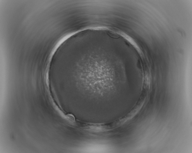 X0000115060959200911091444