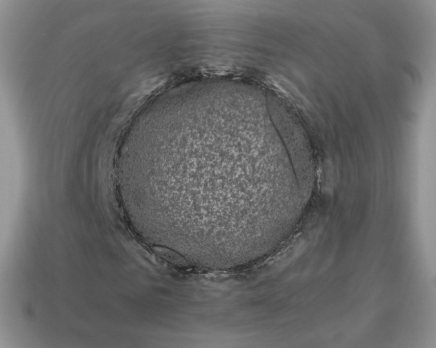 X0000115060961200911091443