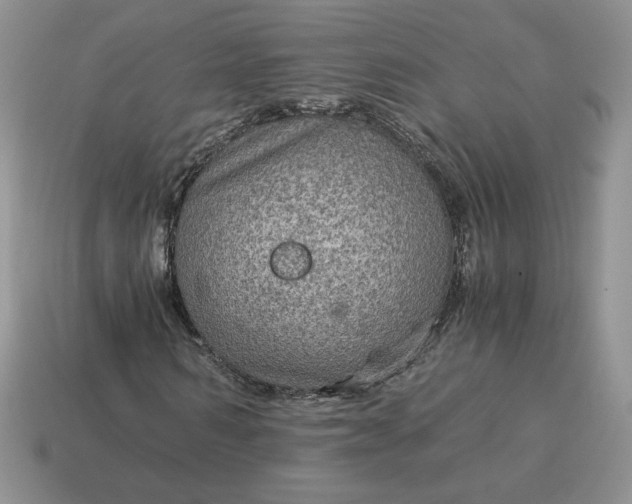 X0000115060962200911091443