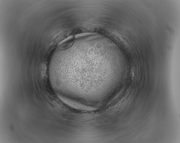 X0000115060964200911091443
