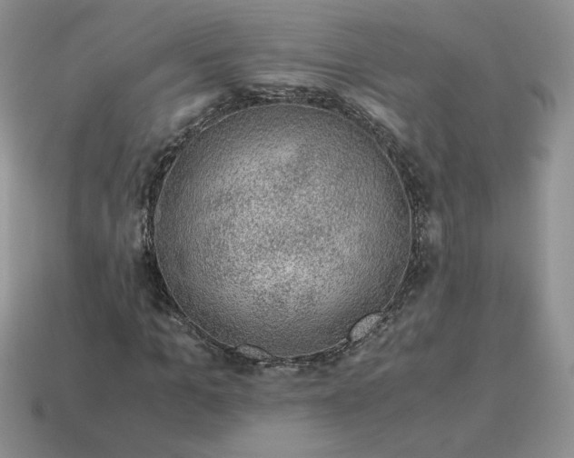 X0000115060965200911091443