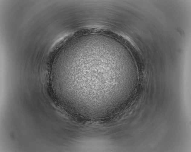X0000115060967200911091443
