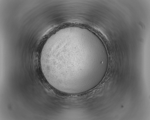X0000115060968200911091443