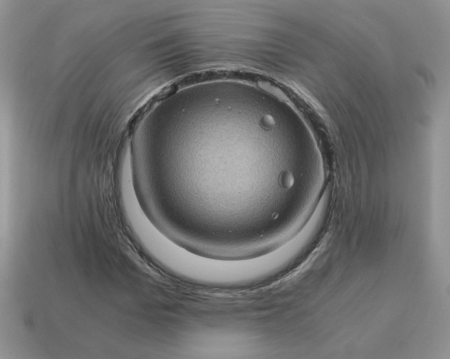 X0000115060969200911091443