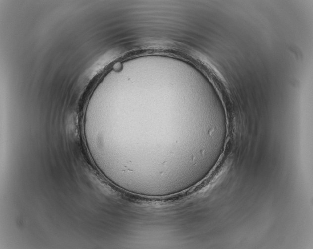 X0000115060970200911091443