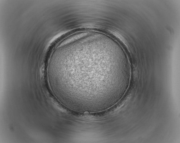 X0000115060971200911091443
