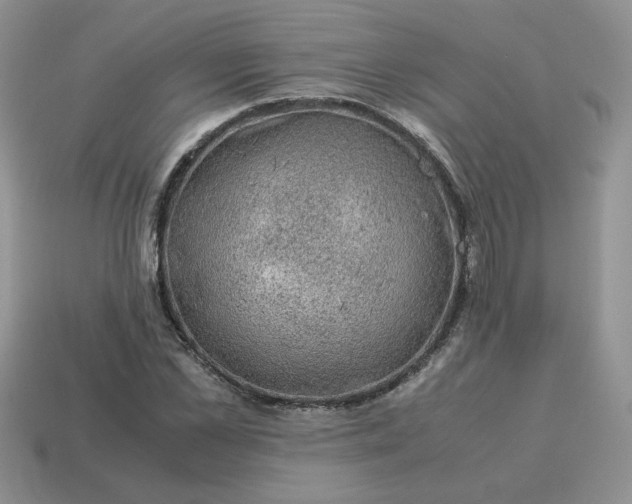 X0000115060973200911091443