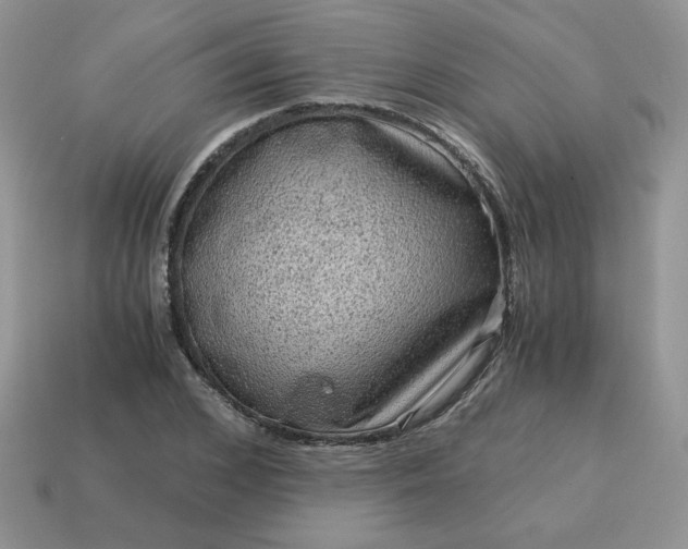 X0000115060976200911091442