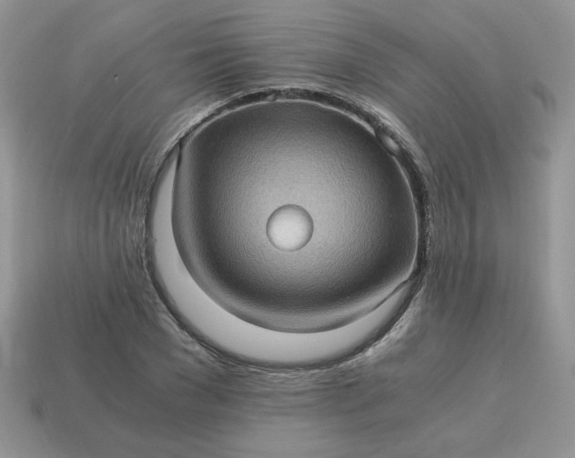 X0000115060977200911091442