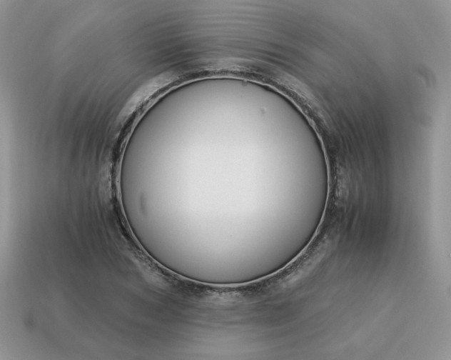 X0000115060978200911091442