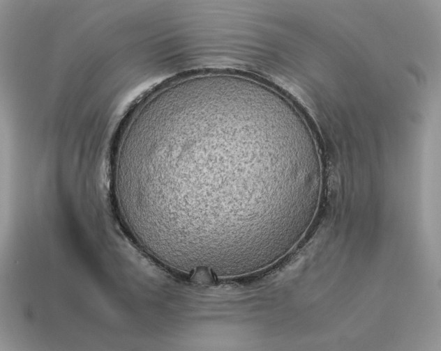 X0000115060979200911091442