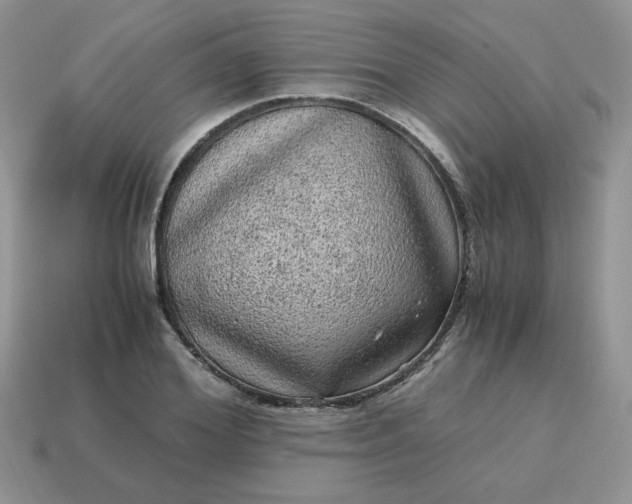 X0000115060980200911091442