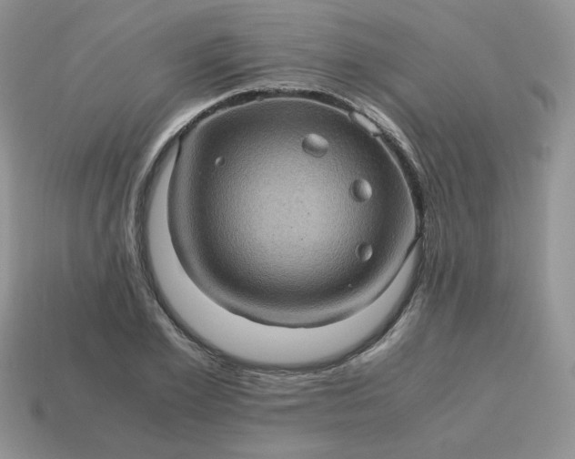 X0000115060981200911091442