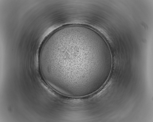 X0000115060982200911091442