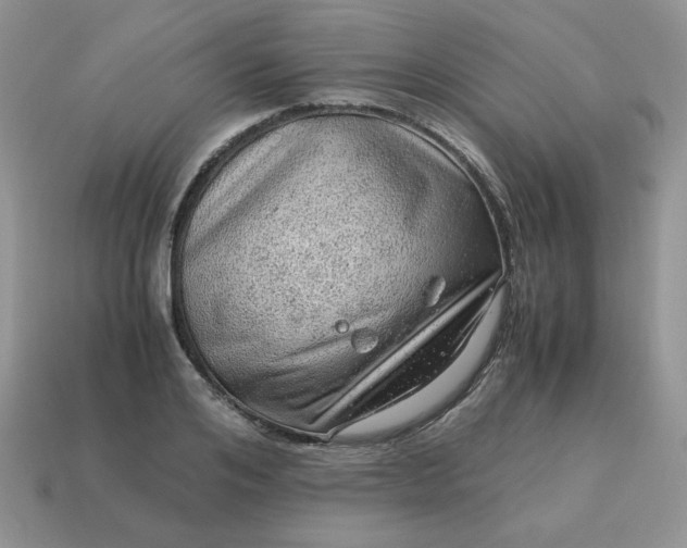 X0000115060984200911091442