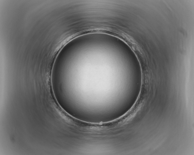 X0000115060985200911091442