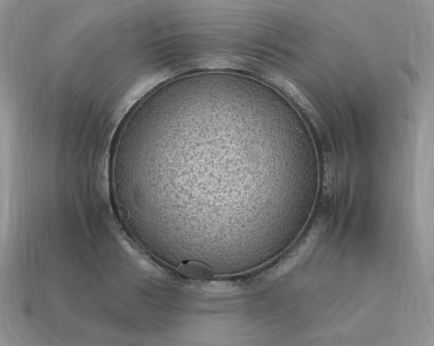 X0000115060986200911091442