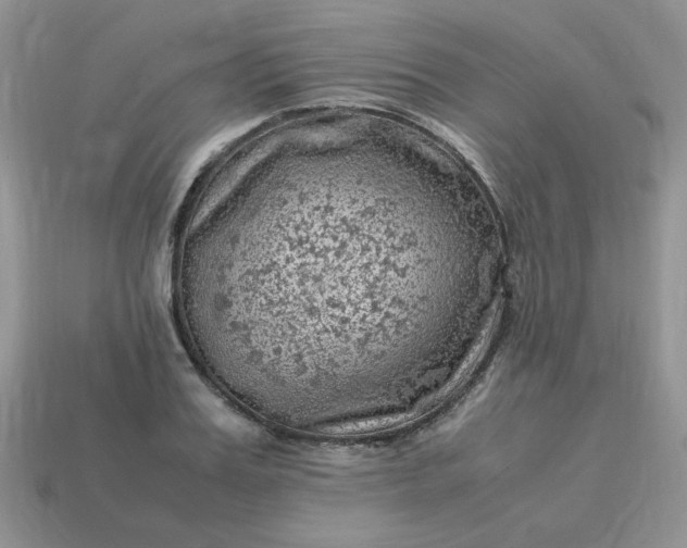 X0000115060987200911091442