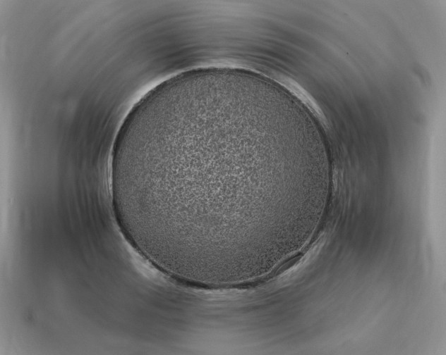 X0000115060988200911091442