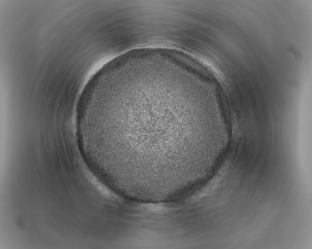 X0000115060990200911091442
