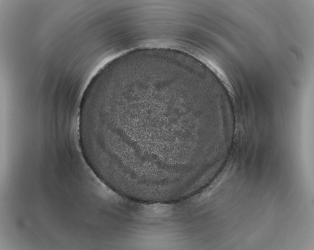 X0000115060992200911091442