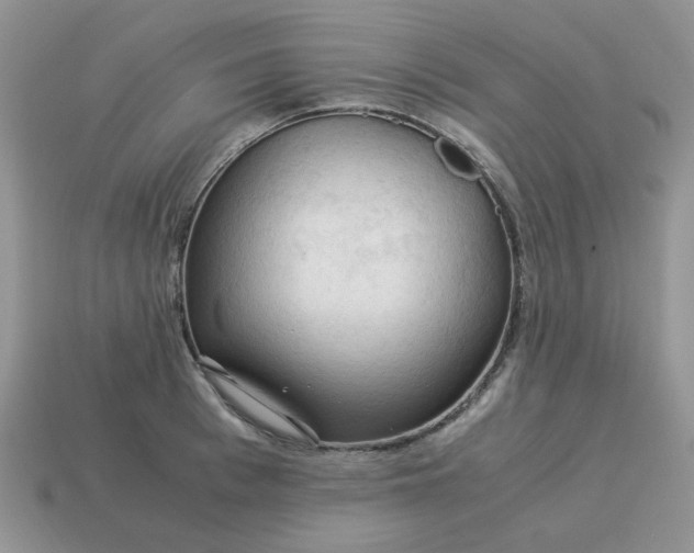 X0000115060993200911091442