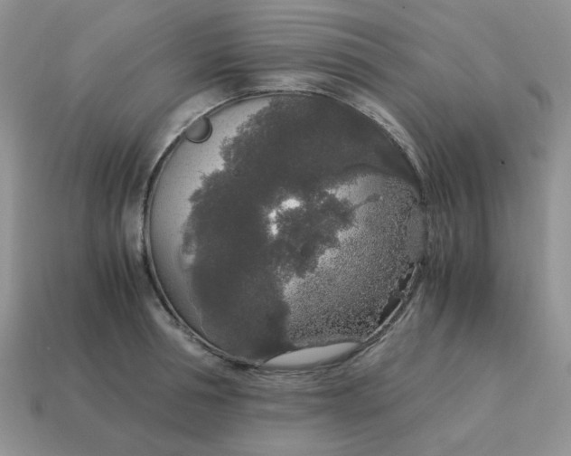 X0000115060994200911091442