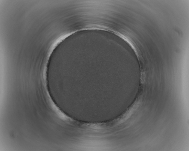 X0000115060995200911091442