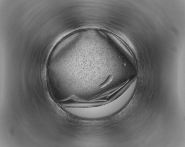 X0000115060996200911091442