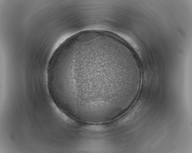 X0000115060998200911091442