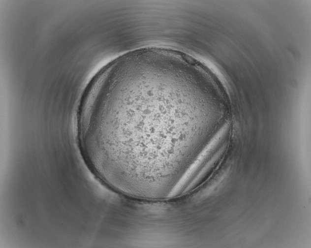 X0000115060999200911091442