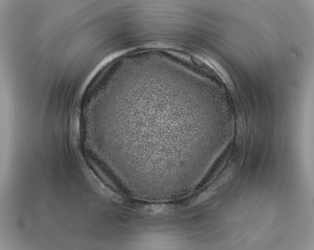 X0000115061000200911091442