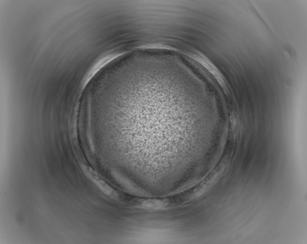 X0000115061002200911091442