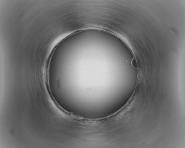 X0000115061003200911091442