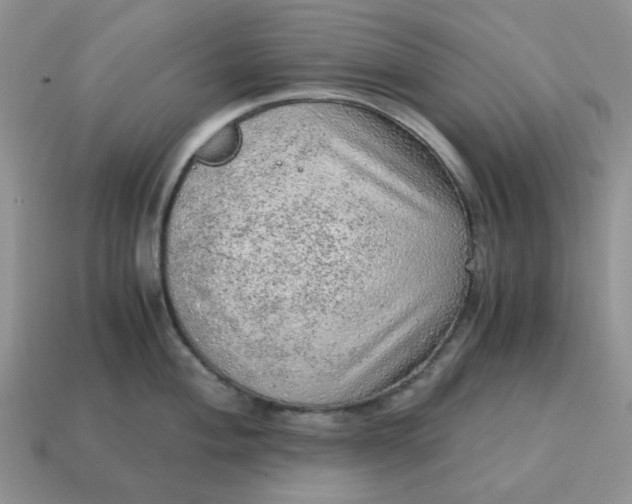 X0000115061004200911091442