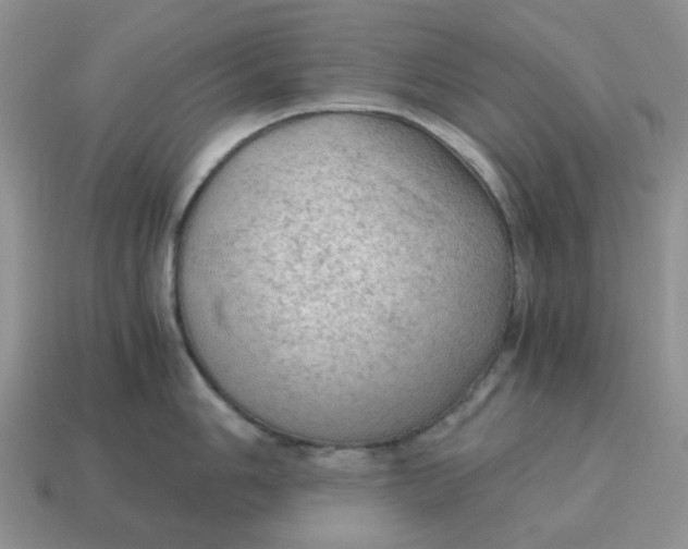 X0000115061006200911091442