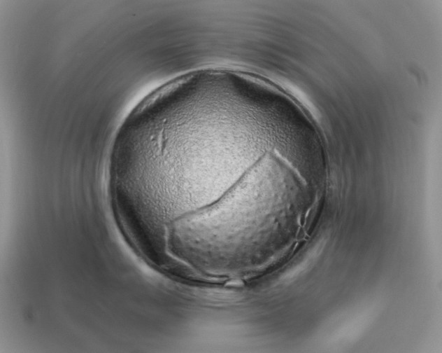 X0000115061007200911091442